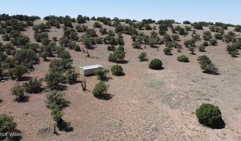 006 N8604, Concho, AZ 85924