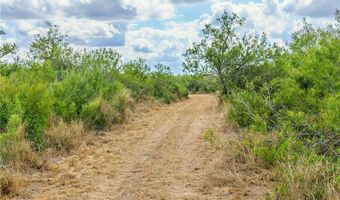 1121 County Road 481, Alice, TX 78332
