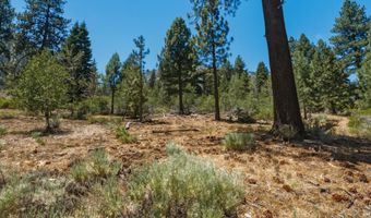 490 Nature's Edge Rd, Gardnerville, NV 89460