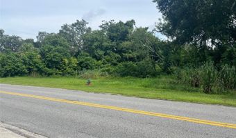 E CLEVELAND STREET E, Apopka, FL 32703