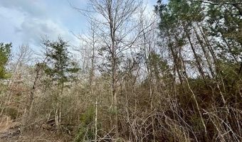 SE Lee Drive, Bogue Chitto, MS 39629