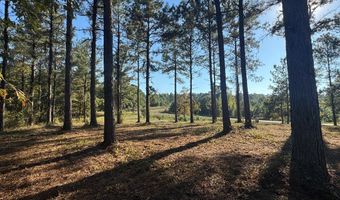 Lot 8 Mountain View Way, Bainbridge, GA 39819