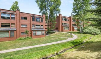941 Vine St, Aspen, CO 81611