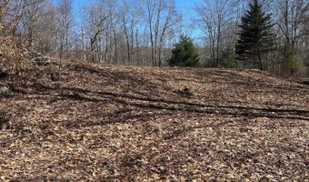 L22.2 Alder Pond Road, Andes, NY 13740