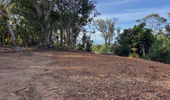 2599 Ala Olu Pl unit C, Haiku, HI 96708
