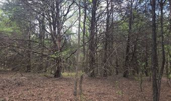 Cloverleaf Way lot 5, Antlers, OK 74523