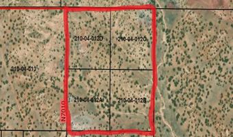 N7010, Chambers, AZ 86502