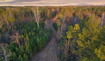 1660 FEDDISBURG Rd, Alpine, AL 35014