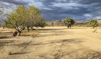 11658 Sherry Rd, Yucca, AZ 86438