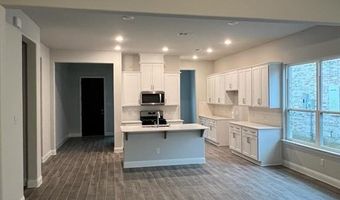 309 Portina Dr, Anna, TX 75409