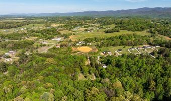 110 Keller Rd, Afton, TN 37616