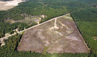 Lot 2 Highway 790, Ackerman, MS 39735