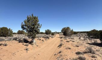 TBD 205-70-002, Chambers, AZ 86502