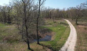 Tract 4 0000 Private Road 1184, Aurora, MO 65605