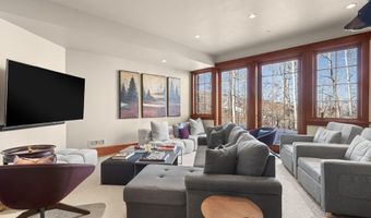 170 Falcon Rd, Aspen, CO 81611