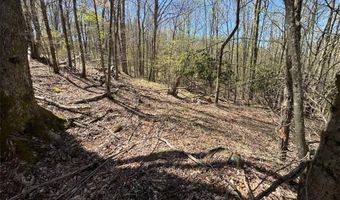 62 Acres Buckeye Ridge Rd, Beech Mountain, NC 28604