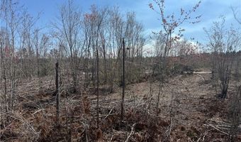 0 35.01 Acres Bacon School Rd, Alma, GA 31510