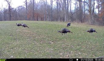 2233 Holloman Rd, Bentonia, MS 39040