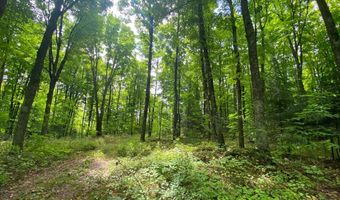 NEAR SCHMIDT LN, Argonne, WI 54511