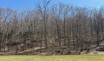 Walker Hill Road, Bridgewater, VT 05034