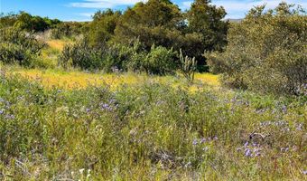 47925 Chris Allen Way, Aguanga, CA 92536
