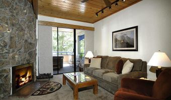 301 E Hyman Avenue Unit # 301 Wks 3 4 47 #301 (Wks 3,4,47), Aspen, CO 81611