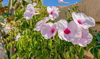 2410 Quartsite Dr, Camarillo, CA 93012