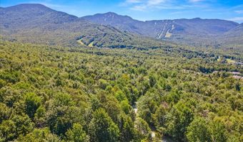 46 Log Cabin Dr, Cambridge, VT 05465