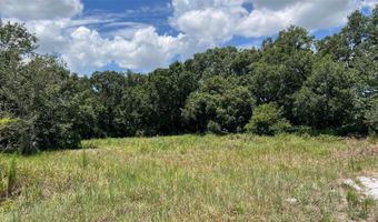 ABUNDANT LIFE DRIVE, Auburndale, FL 33823