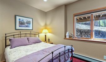 463 Blue Flag Cir, Breckenridge, CO 80424