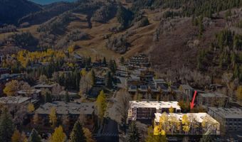 131 E Durant Ave 202, Aspen, CO 81611