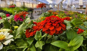 22085 580th Ave, Ames, IA 50010