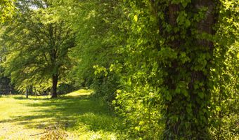 Beech Bluff Road, Beech Bluff, TN 38313