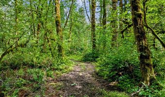 64601 E BRIGHTWOOD LOOP Rd, Brightwood, OR 97011
