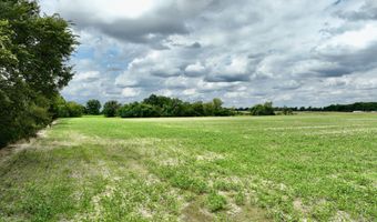 290 CR, Asbury, MO 64832