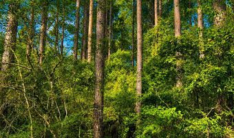 1581 Hwy C 180, Baker, FL 32531