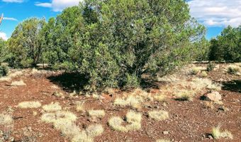 211 Ricochet Way, Ash Fork, AZ 86320