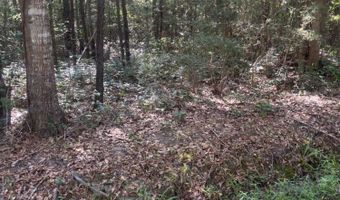 Cantania/Ridge Road, Bay St. Louis, MS 39520