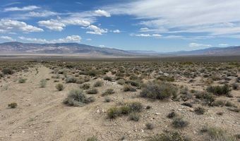 740 CHIATOVICH CREEK Rd, Dyer, NV 89010
