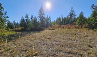25 XX BURGESS Rd, Addy, WA 99101
