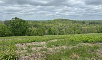Co Rd 321 Route 5, Ava, MO 65608