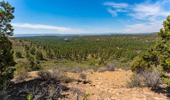 937 Hillcrest Rd, Bayfield, CO 81122