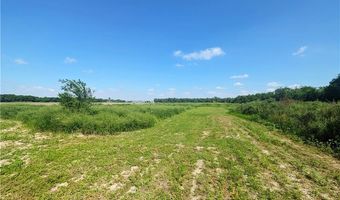 1325 W Eldora Rd, Alamo, TX 78516