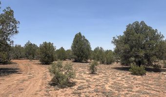 164 Rattlesnake Rd, Ash Fork, AZ 86320