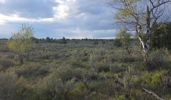 TBD 40 AC Arcadia Road, Ashton, ID 83440