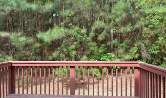 1005 Double Spring Ct, Apex, NC 27502