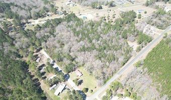 S Sawmill loop, Abbeville, GA 31001