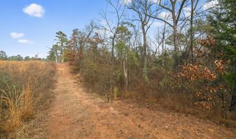 868 County Road 2920, Alba, TX 75410