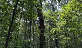 WEAVER ROAD, Amissville, VA 20106