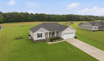 342 John Purdom Dr, Almo, KY 42020